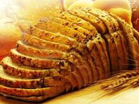 The Bake Shop 0 sales India